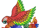Stunning Parrots 002 7inch
